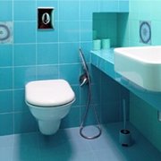 Монтаж на хигиеничен душ за тоалетна: опции за монтаж и пример за работа