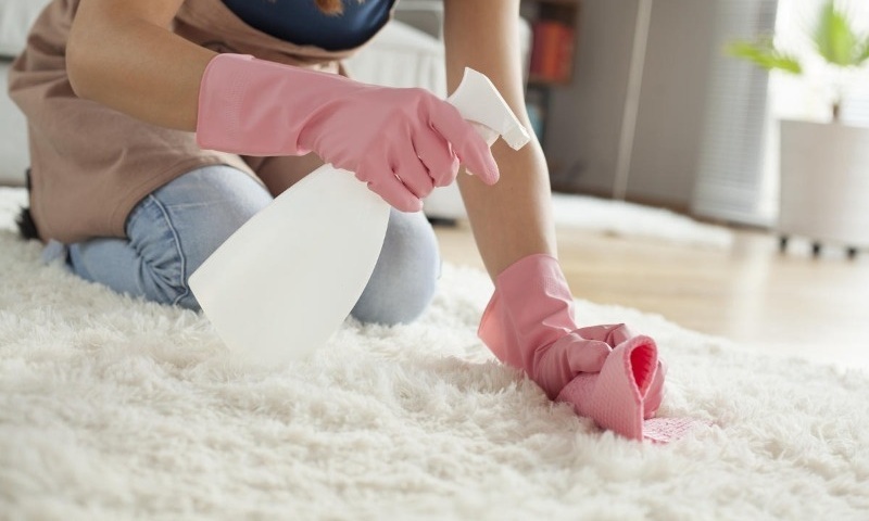 7 ефективни домашни средства, които помагат за намаляване на праха и мръсотията във вашия дом
